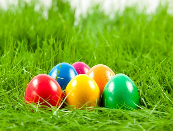 Easter eggs in Fresh Green Grass . — Stock Photo, Image