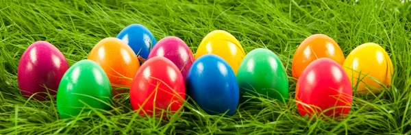 Easter eggs in Fresh Green Grass . — Stock Photo, Image