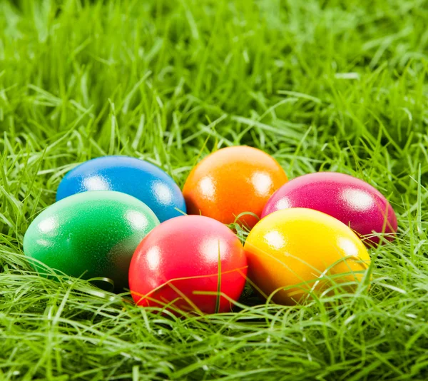 Easter eggs in Fresh Green Grass . — Stock Photo, Image