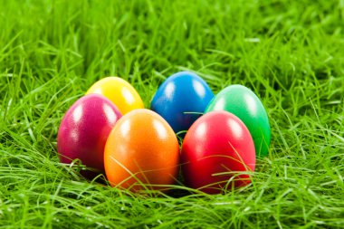 Paskalya yumurta taze yeşil çimen .