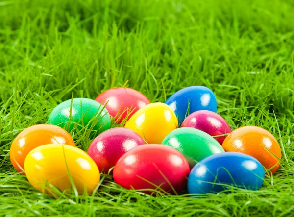 Easter eggs in Fresh Green Grass . — Stock Photo, Image