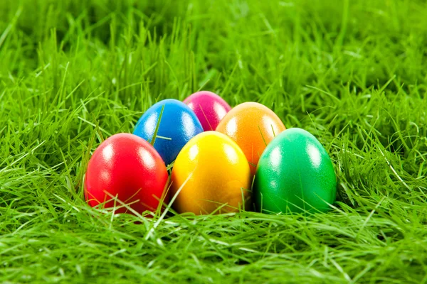新鮮な緑の芝生での復活祭の卵 . — ストック写真