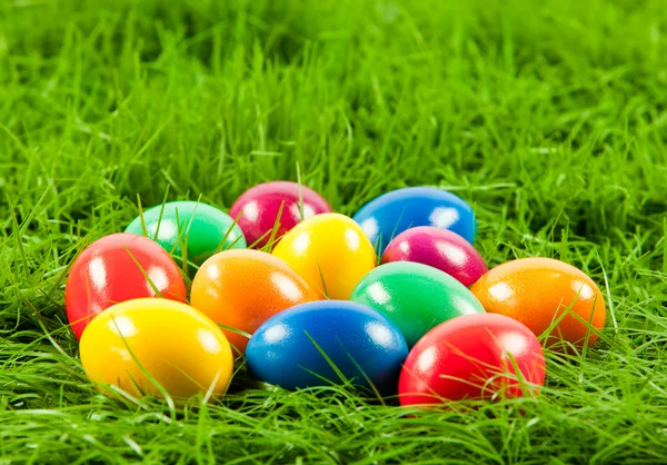 Easter eggs in Fresh Green Grass . — Stock Photo, Image