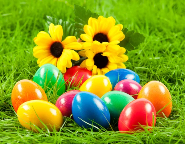 Telur Paskah di Rumput Hijau Segar  . — Stok Foto