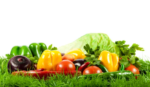 Alimentação Saudável. Produtos hortícolas crus orgânicos sazonais. — Fotografia de Stock