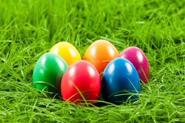 Paskalya yumurta taze yeşil çimen .