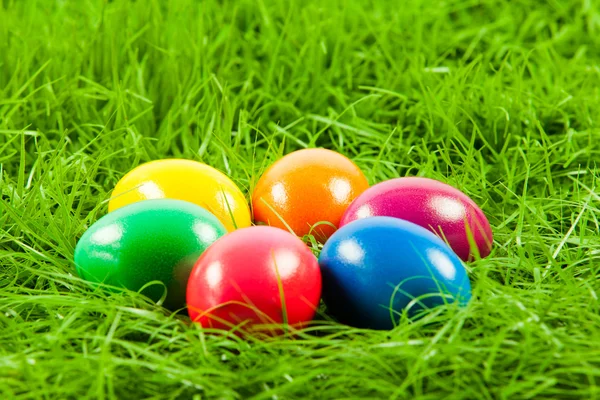 Easter eggs in Fresh Green Grass . — Stock Photo, Image