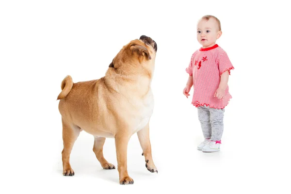Kleines Mädchen mit dem großen Hund. — Stockfoto