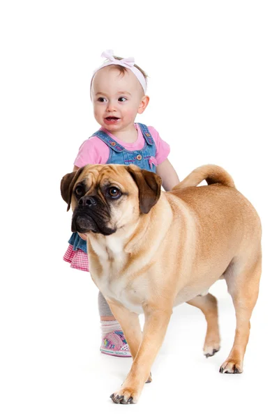 Meisje met de grote hond. meisje van de baby en haar beste vriendin. — Stockfoto