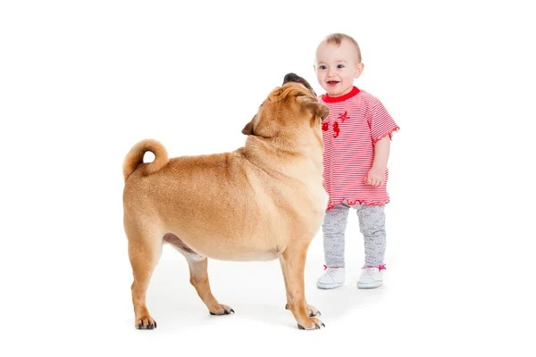 Una niña con el perro grande. Bebé niña y su mejor amigo . — Foto de Stock