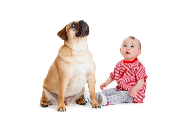 Petite fille avec le gros chien. Bébé fille et son meilleur ami . — Photo