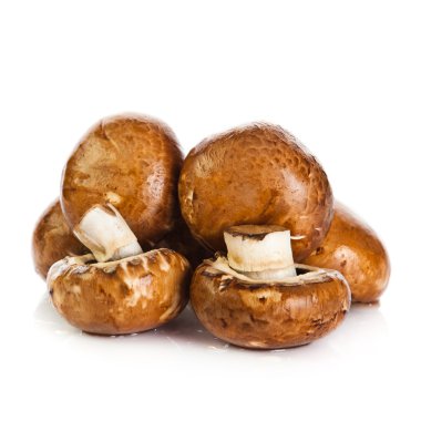 taze mantar champignon beyaz zemin üzerine izole. taze