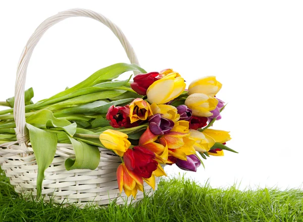 Kosz tulipanów na białym tle. bukiet tuli — Zdjęcie stockowe