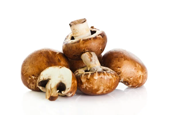 Frische Champignon Champignon isoliert auf weißem Hintergrund. frisch — Stockfoto