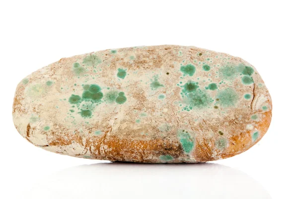 Muffa sul pane. Pane ammuffito, isolato su fondo bianco — Foto Stock