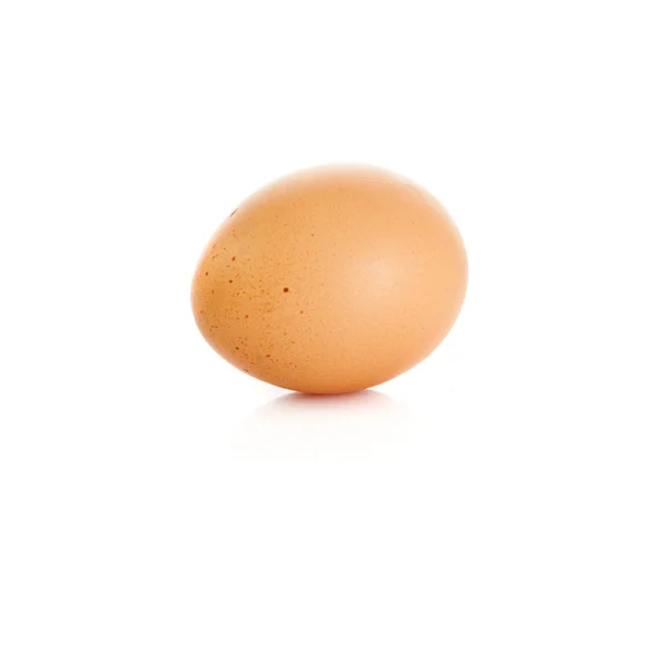 Egg on white background — Stock Photo, Image