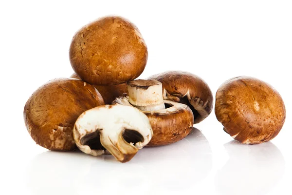 Fungo fresco champignon isolato su fondo bianco. fresco — Foto Stock