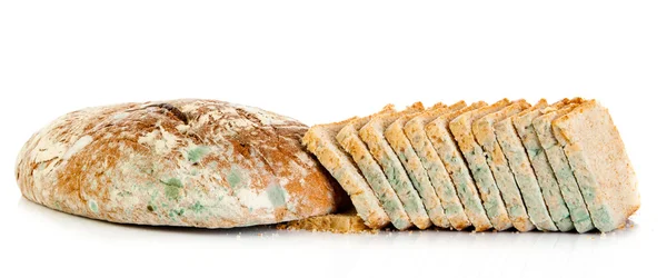 Mold on bread. Mouldy bread, isolated on a white background — Stock Photo, Image