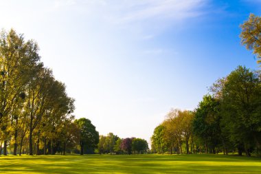 Yeşil alan ve ağaçlar.