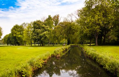 güzel yaz manzara. yeşil alan ve ağaçlar
