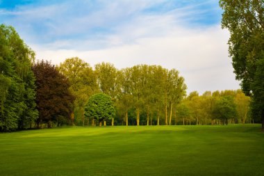güzel yaz manzara. yeşil alan ve ağaçlar