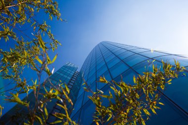 ofis binaları. gökdelenlerin modern Cam silhouettes