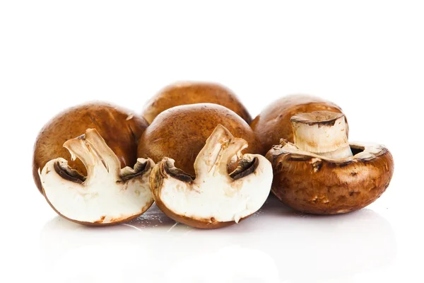 Frische Champignon Champignon isoliert auf weißem Hintergrund. frisch — Stockfoto