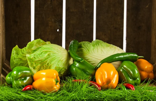 Produtos hortícolas frescos . — Fotografia de Stock