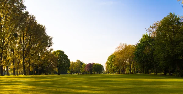 Campo verde y árboles. — Foto de Stock