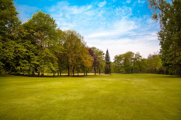 Campo verde y árboles. — Foto de Stock