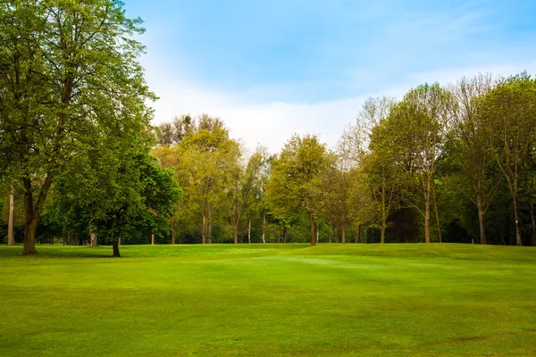 Vacker sommar landskap. gröna fält och träd — Stockfoto