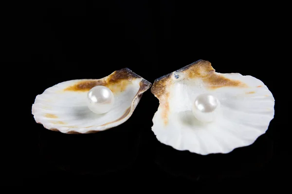 Seashell with pearl on black background — Stock Photo, Image