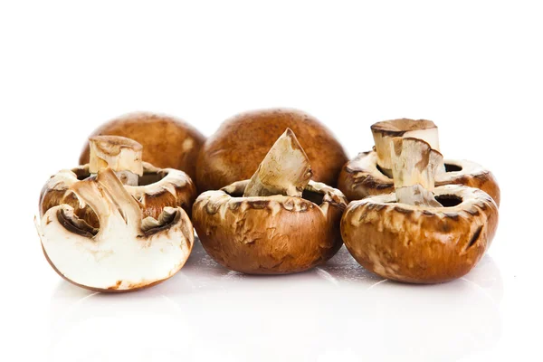 Frische Champignon Champignon isoliert auf weißem Hintergrund. frisch — Stockfoto