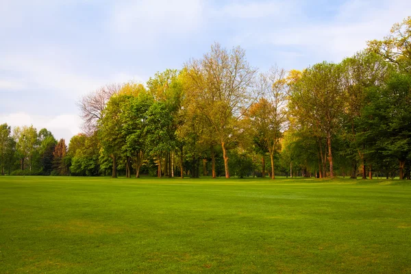 Campo verde y árboles. — Foto de Stock