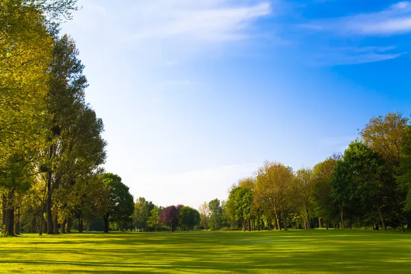 Campo verde y árboles. — Foto de Stock