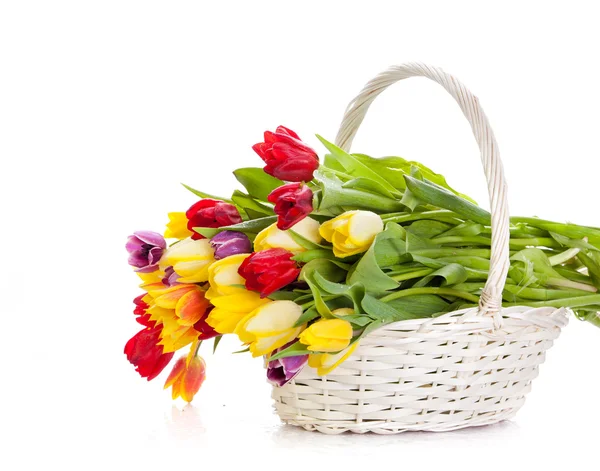 Korb mit Tulpen isoliert auf weißem Hintergrund. Strauß von Tüll — Stockfoto