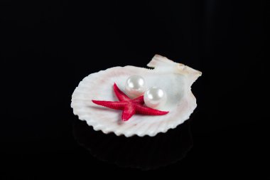 Deniz kabuğu siyah arka plan üzerine inci ile