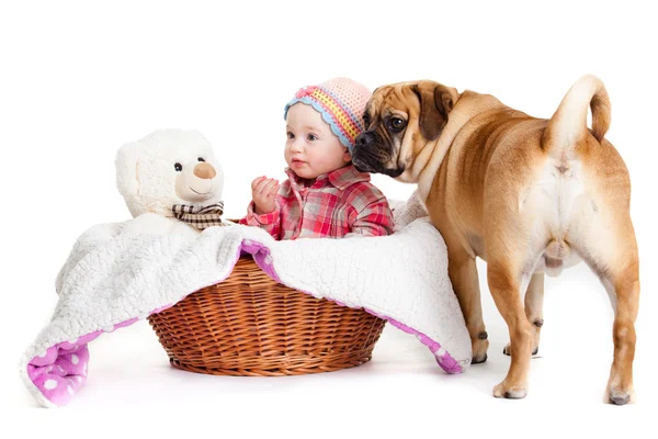 Holčička s velkým psem. holčička a její nejlepší kamarádka. — Stock fotografie