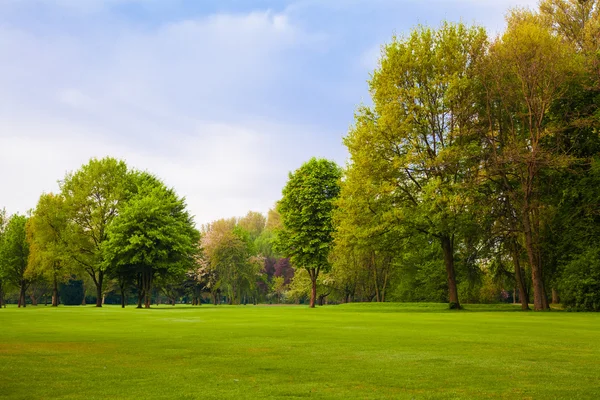 Campo verde y árboles. — Foto de Stock