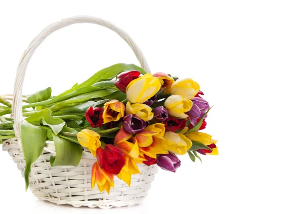 Panier de tulipes isolé sur fond blanc. Bouquet de tuli — Photo