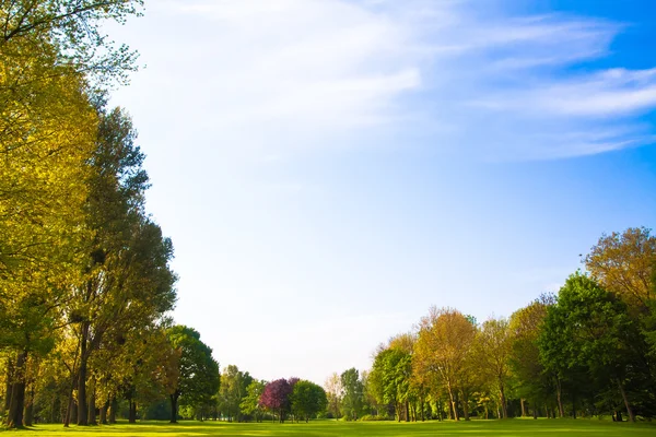 Campo verde e alberi. — Foto Stock