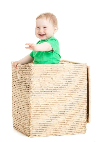 Little boy inside a box on a white background Stock Picture