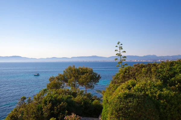 Wyspa Majorka. Mallorca — Zdjęcie stockowe