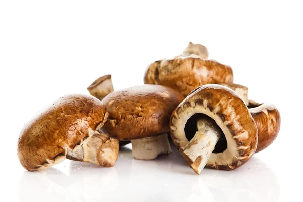 Frische Champignon Champignon isoliert auf weißem Hintergrund. frisch — Stockfoto