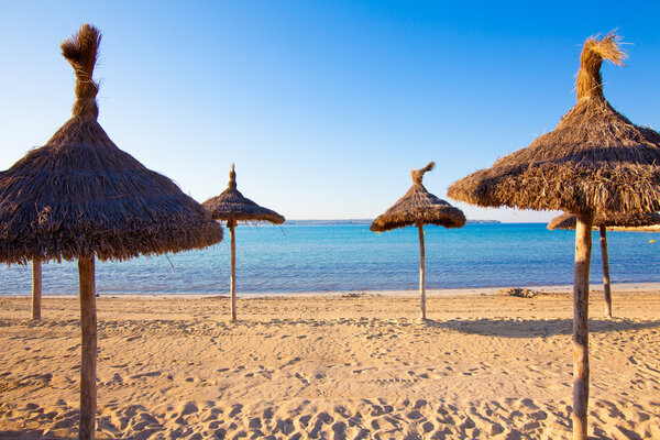 beach scenery with parasol