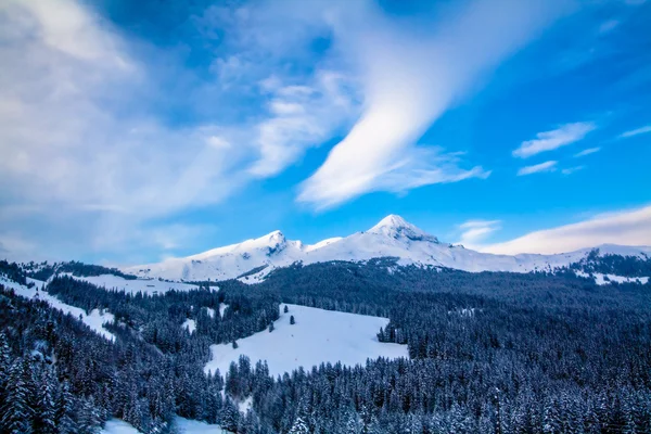 Montagne invernali . — Foto Stock