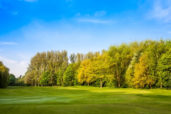 Campo verde y árboles. Paisaje de verano con gras verdes — Foto de Stock