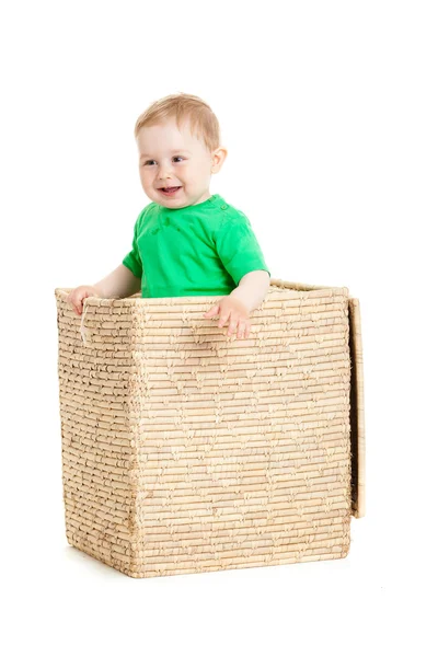 Little boy inside a box on a white background Stock Photo