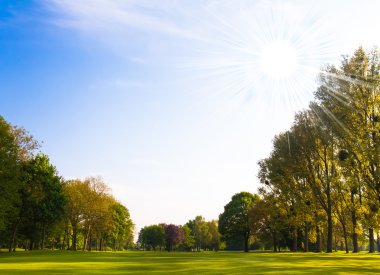 Yeşil alan ve ağaçlar.