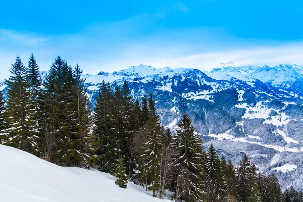 Swiss winter season landscape. — Stock Photo, Image